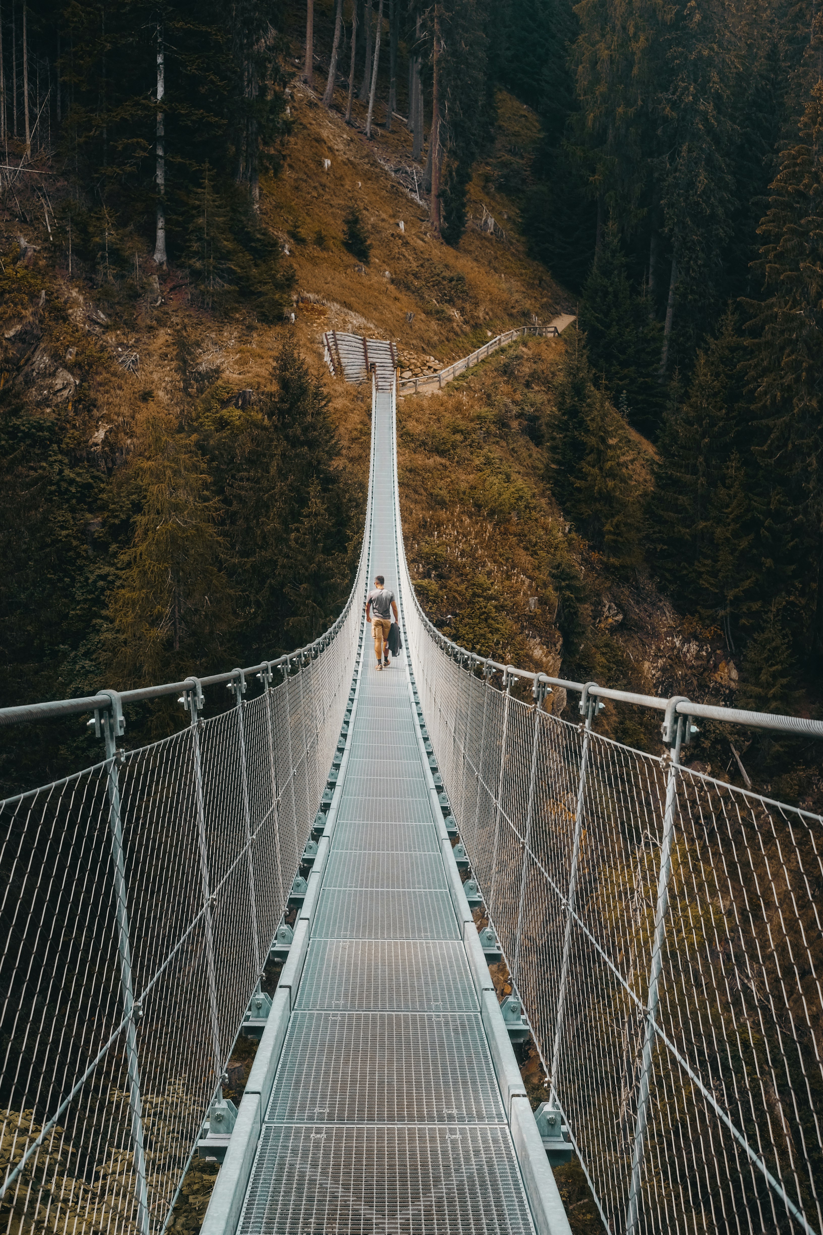 white bridge in the forest